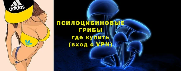 ECSTASY Покачи