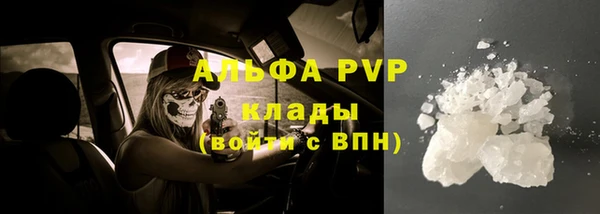 ECSTASY Покачи