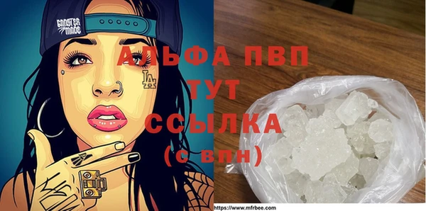 ECSTASY Покачи
