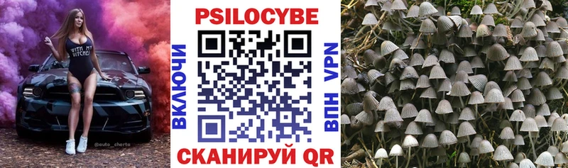 Купить закладки Алагир Галлюциногенные грибы ЛСД